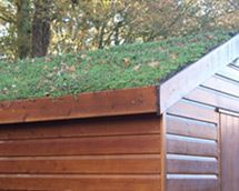 Sedum Roof