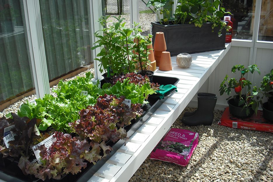 Slatted Benches