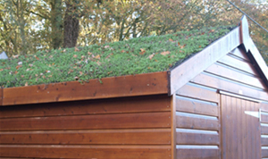 Wooden shed roof covering
